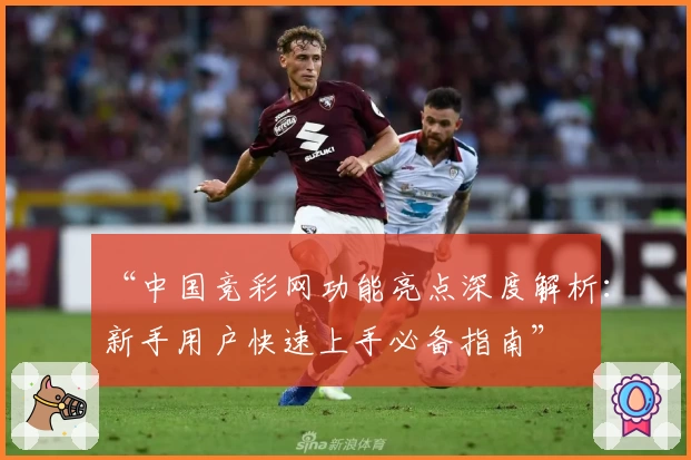 “中国竞彩网功能亮点深度解析：新手用户快速上手必备指南”