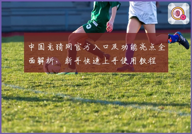 中国竞猜网官方入口及功能亮点全面解析，新手快速上手使用教程