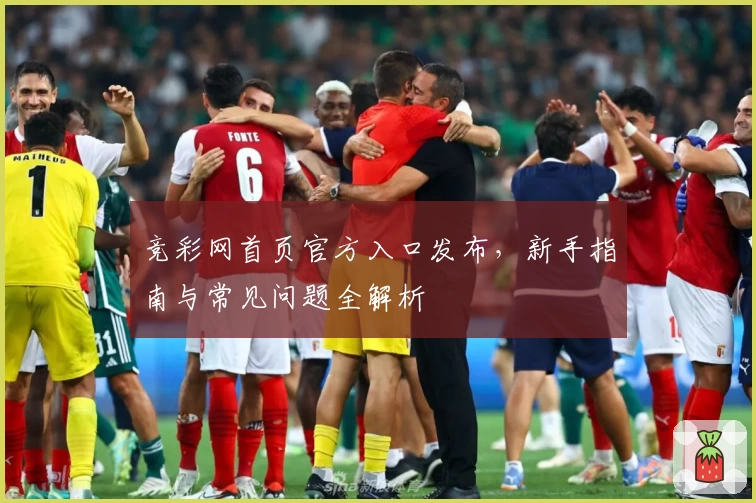 竞彩网首页官方入口发布，新手指南与常见问题全解析